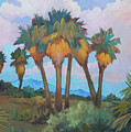 Palms At Anza Borrego State Park by Diane McClary Palms At Anza Borrego State Park by Diane McClary