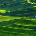 Palouse 6 Photograph by Thomas Hall