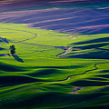 Palouse - Later Afternoon Photograph by Rikk Flohr