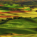 Palouse Photograph by Thomas Hall