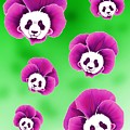 Panda Pansies Digital Art by Norman Klein Panda Pansies Digital Art by Norman Klein