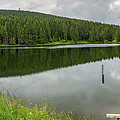 Panorama Liebesbankweg, Harz Photograph by Andreas Levi