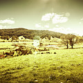 Pastoral Pyengana by Jorgo Photography - Wall Art Gallery Pastoral Pyengana by Jorgo Photography - Wall Art Gallery