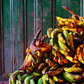 Patacon by Skip Hunt Patacon by Skip Hunt