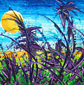 Patch of Field Grass by Rollin Kocsis Patch of Field Grass by Rollin Kocsis