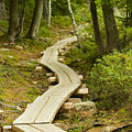 Path Into Unknown Photograph by Sebastian Musial Path Into Unknown Photograph by Sebastian Musial