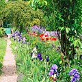 Path to Monet's House by Nadine Rippelmeyer Path to Monet's House by Nadine Rippelmeyer