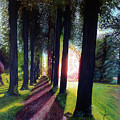 Pathy of light by Jose Manuel Abraham Pathy of light by Jose Manuel Abraham