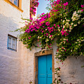 Patmos Bougainvillea by Inge Johnsson Patmos Bougainvillea by Inge Johnsson