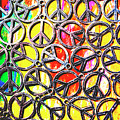 Peace In All Colours by Jorgo Photography - Wall Art Gallery Peace In All Colours by Jorgo Photography - Wall Art Gallery
