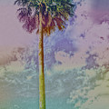 Peaceful Day by Sandy Moulder