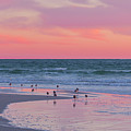 Peaceful Witnesses by Betsy Knapp Peaceful Witnesses by Betsy Knapp