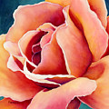 Peach Rose Painting by Hailey E Herrera Peach Rose Painting by Hailey E Herrera