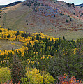 Peak To Peak Highway Boulder County Colorado Autumn View Photograph by James BO Insogna