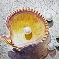 Pearl In The Seashell by Irina Sztukowski Pearl In The Seashell by Irina Sztukowski