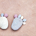 Pebble Feet Photograph by Anita Nicholson Pebble Feet Photograph by Anita Nicholson