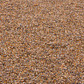 Pebbles brown nature background Photograph by Michalakis Ppalis Pebbles brown nature background Photograph by Michalakis Ppalis