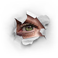 Peek Through a Hole Photograph by Carlos Caetano Peek Through a Hole Photograph by Carlos Caetano