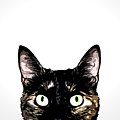 Peeking Cat Mixed Media by Nicklas Gustafsson Peeking Cat Mixed Media by Nicklas Gustafsson