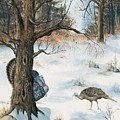 Peeping Tom by Mary Tuomi Peeping Tom by Mary Tuomi