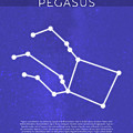 Pegasus The Constellations Minimalist Series 11 by Design Turnpike Pegasus The Constellations Minimalist Series 11 by Design Turnpike