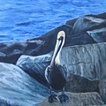 Pelican On The Rocks Painting by Paula Pagliughi Pelican On The Rocks Painting by Paula Pagliughi