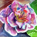 Peony Painting by Loretta Nash Peony Painting by Loretta Nash