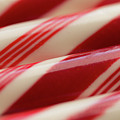 Peppermint Stripes Photograph by Ana V Ramirez Peppermint Stripes Photograph by Ana V Ramirez