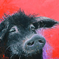 Percival the Black Pig Painting by Jan Matson Percival the Black Pig Painting by Jan Matson