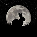 Peter Cottontail Digital Art by Brian Wallace Peter Cottontail Digital Art by Brian Wallace