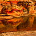 Petrified Dune Reflections by Adam Jewell Petrified Dune Reflections by Adam Jewell