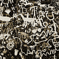 Petroglyph I WT Photograph by David Gordon Petroglyph I WT Photograph by David Gordon