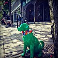 Pets on Parade Photograph by Frank J Casella Pets on Parade Photograph by Frank J Casella