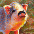 Petunia Pastel by Rita Kirkman Petunia Pastel by Rita Kirkman