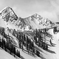 Pfeifferhorn - Little Cottonwood Canyon Photograph by Brett Pelletier Pfeifferhorn - Little Cottonwood Canyon Photograph by Brett Pelletier