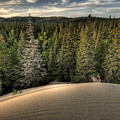 Pic Dunes Photograph by Doug Gibbons Pic Dunes Photograph by Doug Gibbons