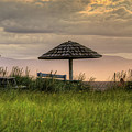 Pick One Photograph by Kathy Paynter