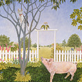Pig And Cat by Ditz Pig And Cat by Ditz
