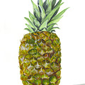 Pineapple by Darice Machel McGuire Pineapple by Darice Machel McGuire