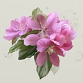 Pink blossoms Painting by Ivana Westin Pink blossoms Painting by Ivana Westin