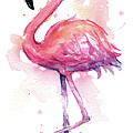 Pink Flamingo Watercolor Tropical Bird Painting by Olga Shvartsur Pink Flamingo Watercolor Tropical Bird Painting by Olga Shvartsur