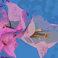 Pink on Blue by Coke Mattingly