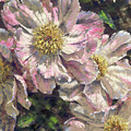 Pink Single Peonies Pastel by Mark Mille Pink Single Peonies Pastel by Mark Mille