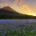 Pinnacle Mountain Sunrise - Arkansas - State Park Photograph by Jason Politte Pinnacle Mountain Sunrise - Arkansas - State Park Photograph by Jason Politte