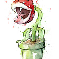 Piranha Plant Watercolor Painting by Olga Shvartsur Piranha Plant Watercolor Painting by Olga Shvartsur