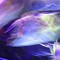 Pisces Photograph by Steve Karol Pisces Photograph by Steve Karol