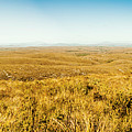 Plain Plains by Jorgo Photography - Wall Art Gallery Plain Plains by Jorgo Photography - Wall Art Gallery