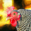 Plymouth Barred Rock Portrait Mixed Media by Tina LeCour Plymouth Barred Rock Portrait Mixed Media by Tina LeCour