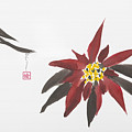 Poinsettia by Diane Macdonald