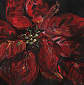 Poinsettia by Nadine Rippelmeyer Poinsettia by Nadine Rippelmeyer
